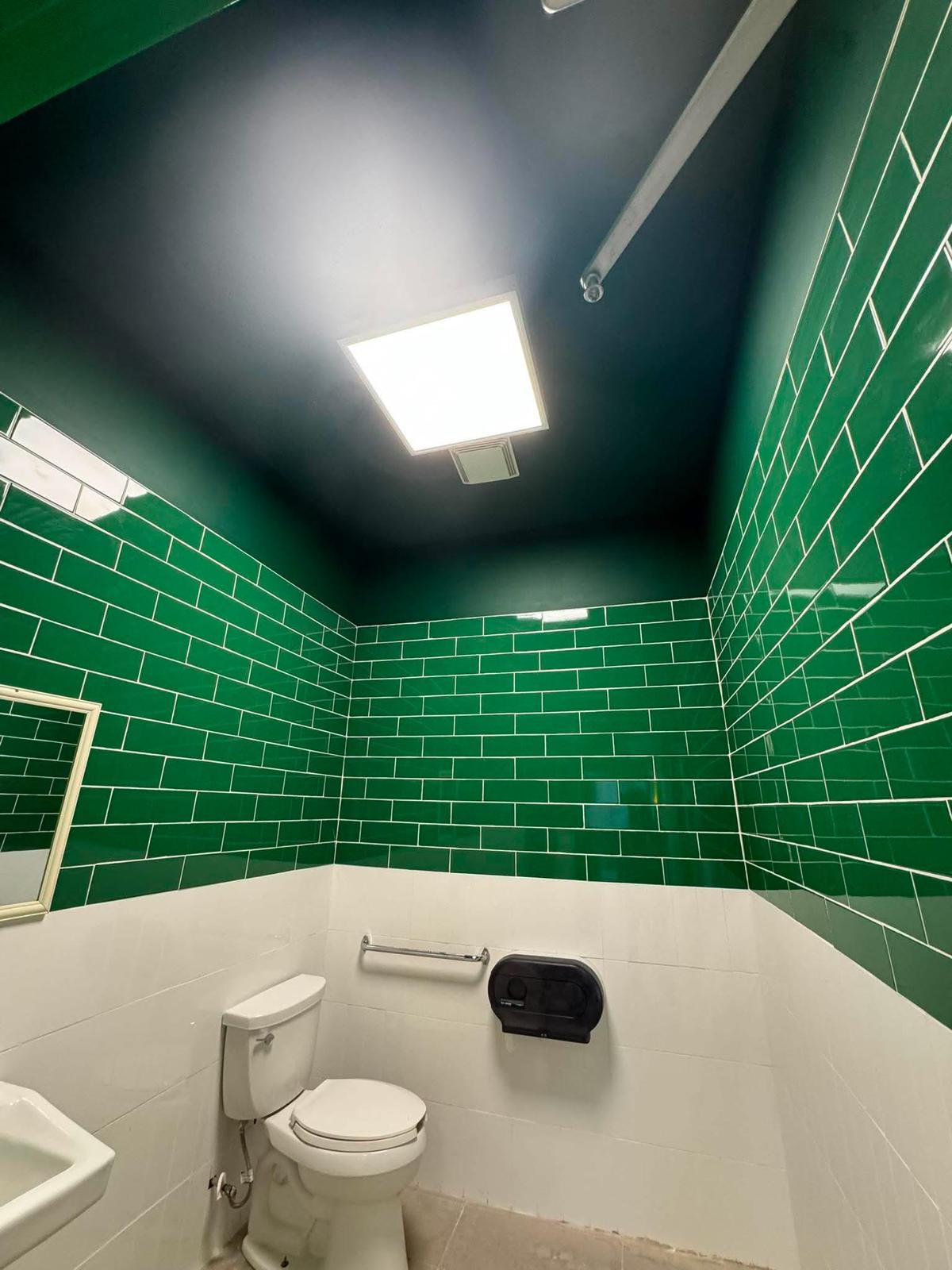 Luxury bathroom renovation